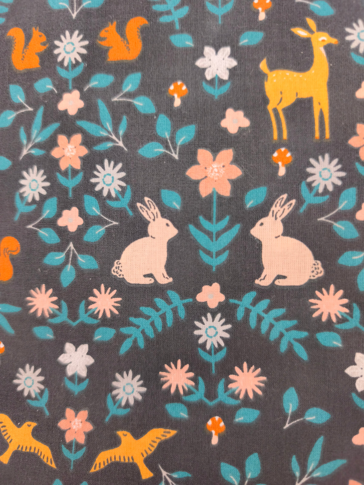 Lot de 5 Cotons lavables