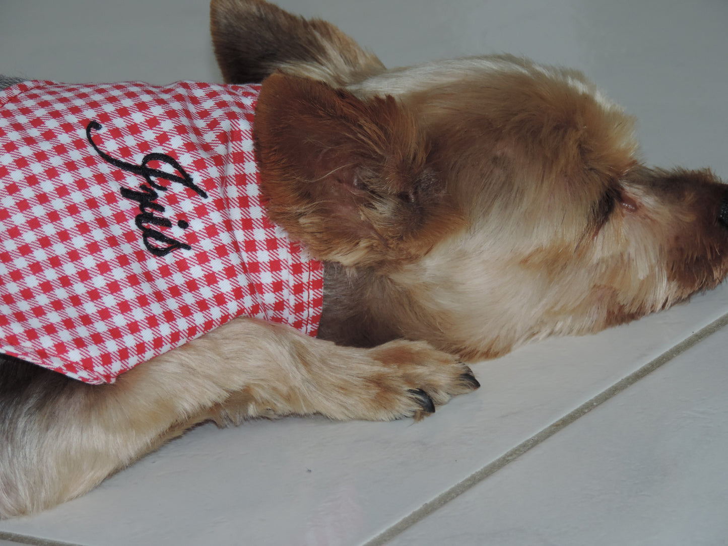 Bandana personnalisé pour chien – Vichy rouge, broderie noire