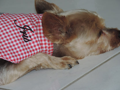 Bandana personnalisé pour chien – Vichy rouge, broderie noire
