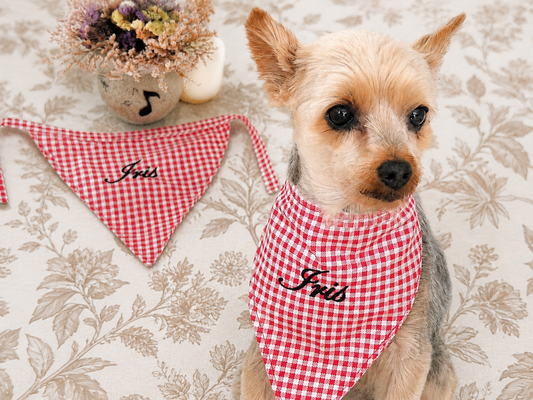 Bandana personnalisé pour chien – Vichy rouge, broderie noire